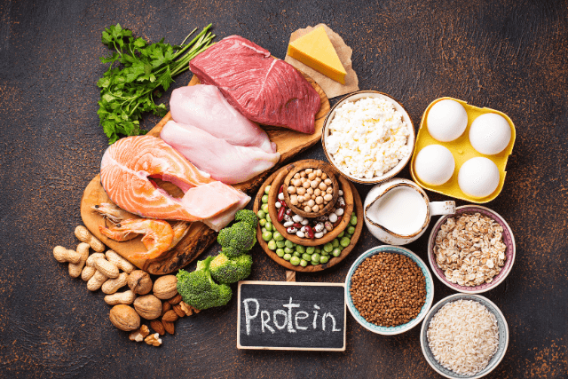 Protein-Rich Diets and Medical Weight Loss